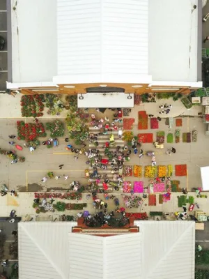 Food Deserts & Health Disparities: Policy Solutions - Cover Image