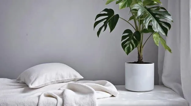A bright, airy bedroom with a minimalist wooden bed frame, crisp white linen, a few potted plants, and ample natural light, exuding a sense of calm and practicality.