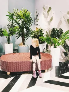 Gen Z's Home Decor: Minimalism & Functionality Unpacked - Cover Image