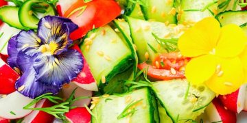 Boost Your Mood: The Role of Nutrition in Mental Health - Cover Image