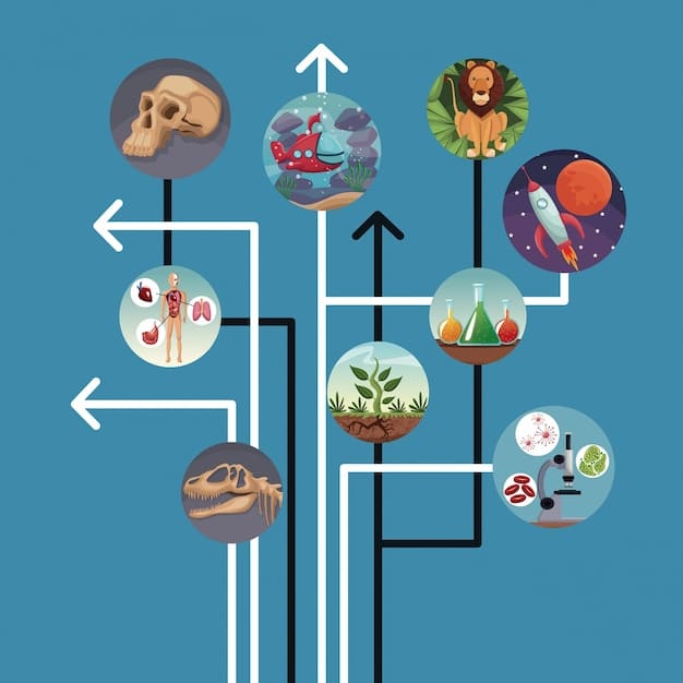 A detailed diagram showing the brain's neural networks, with arrows pointing to various food groups symbolizing their contribution to different brain regions and functions.